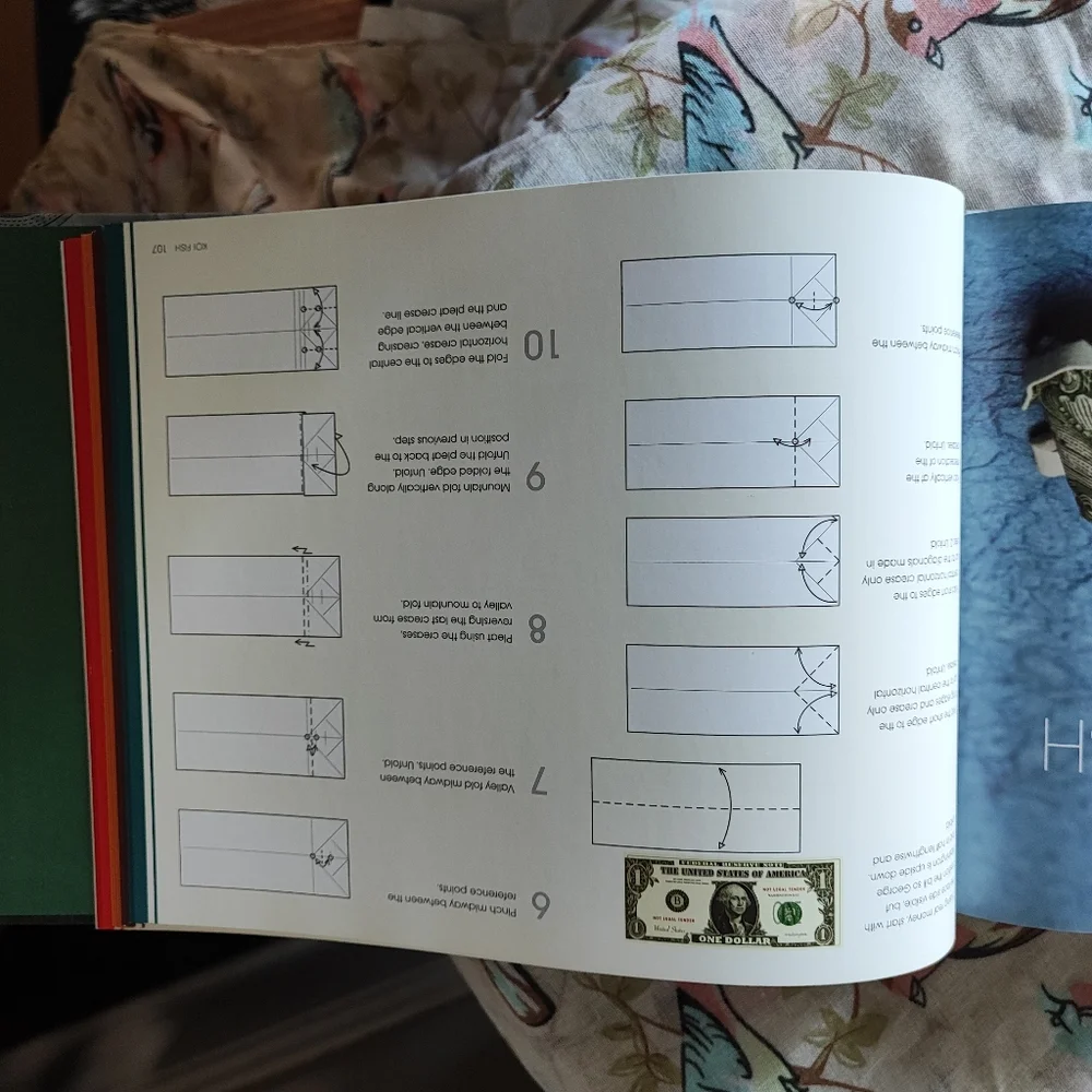 Extreme Origami Book NEW by Won Park Illustrations with Instructions